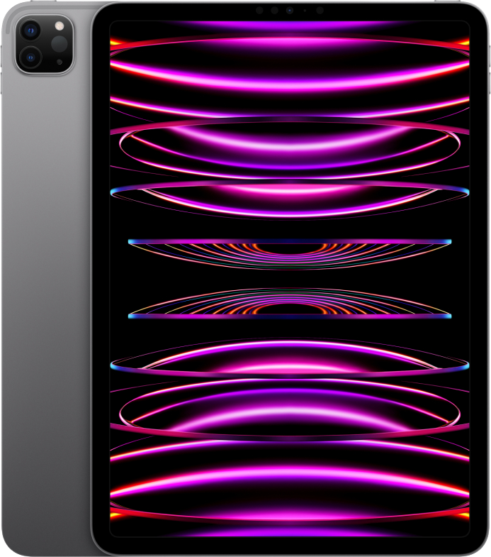 Apple iPad Pro 12.9" 2022 M2 Wi-Fi 256Gb Space Gray